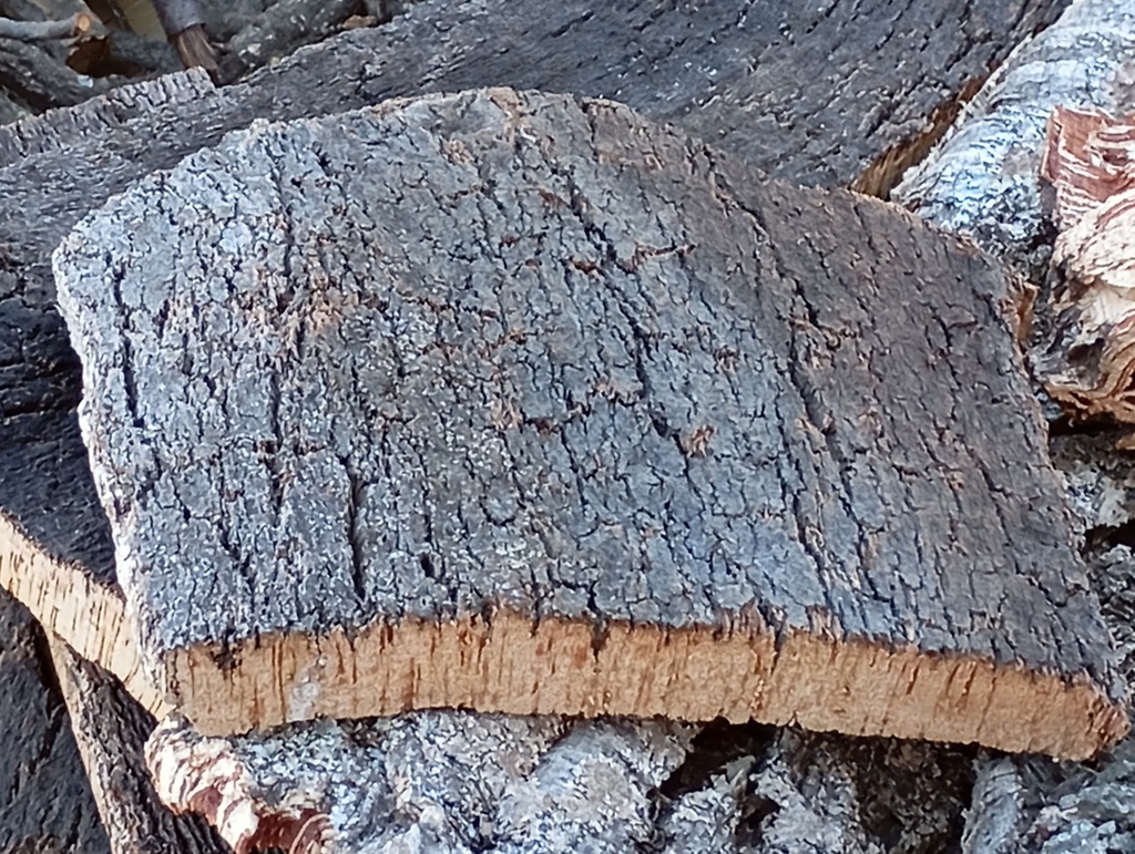 Lámina de corcho cocido