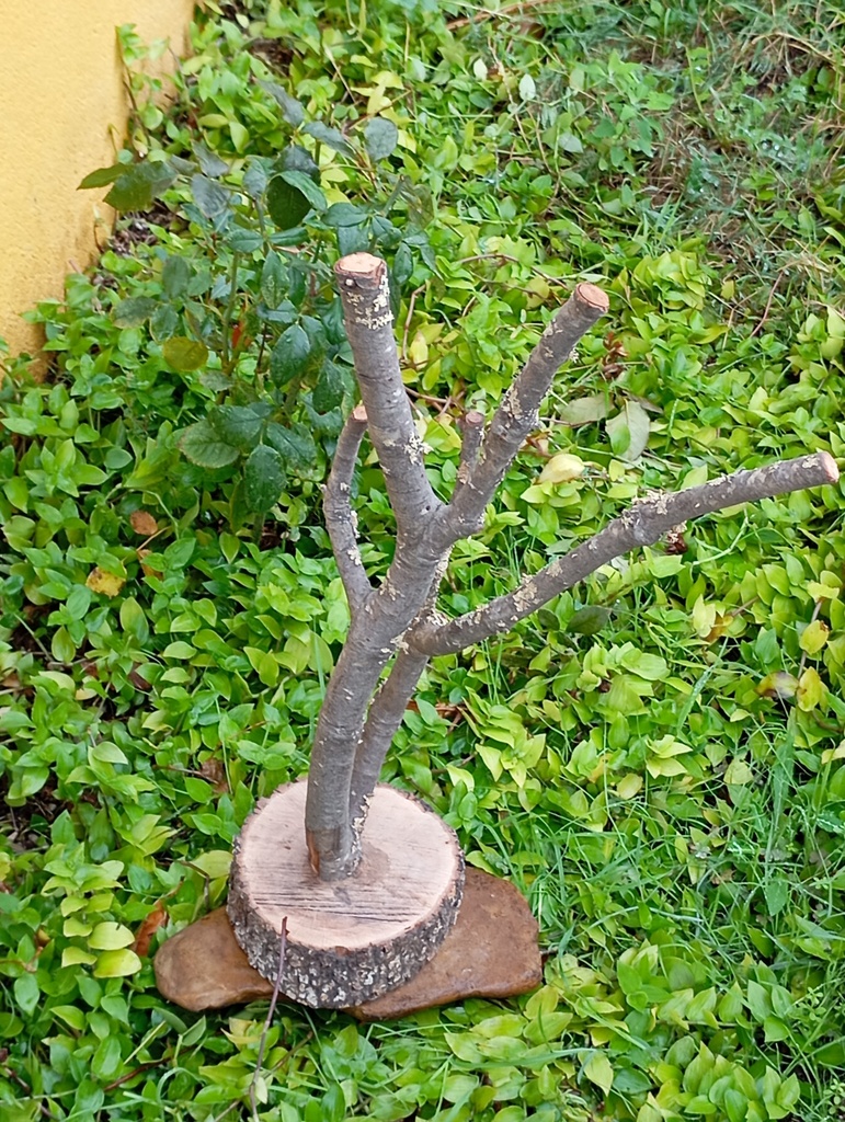 ARBOL CON BASE
