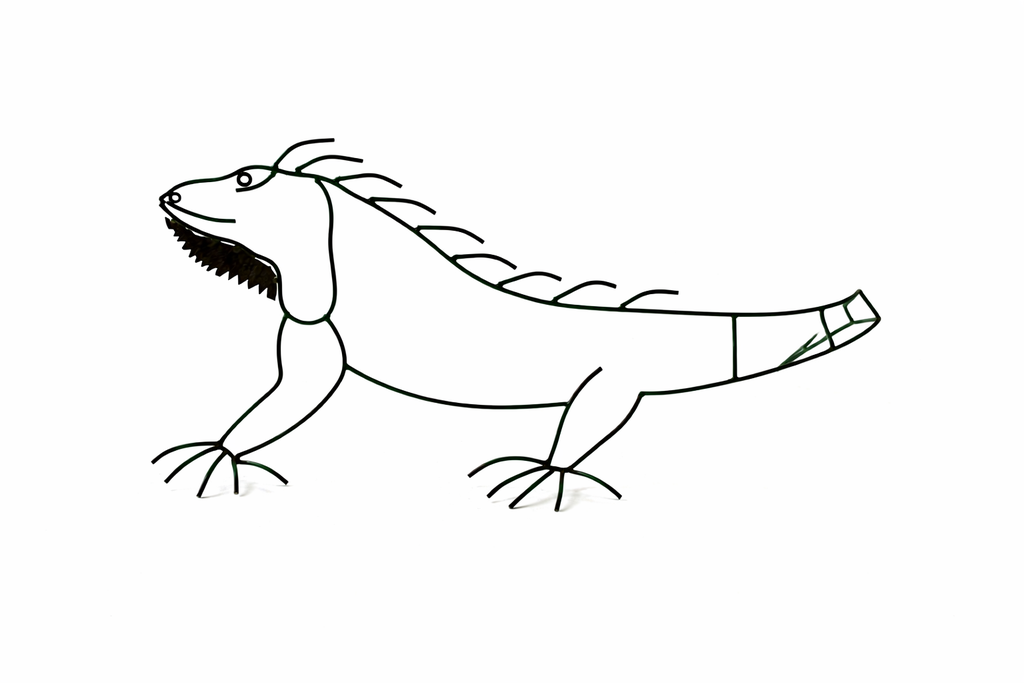 IGUANA