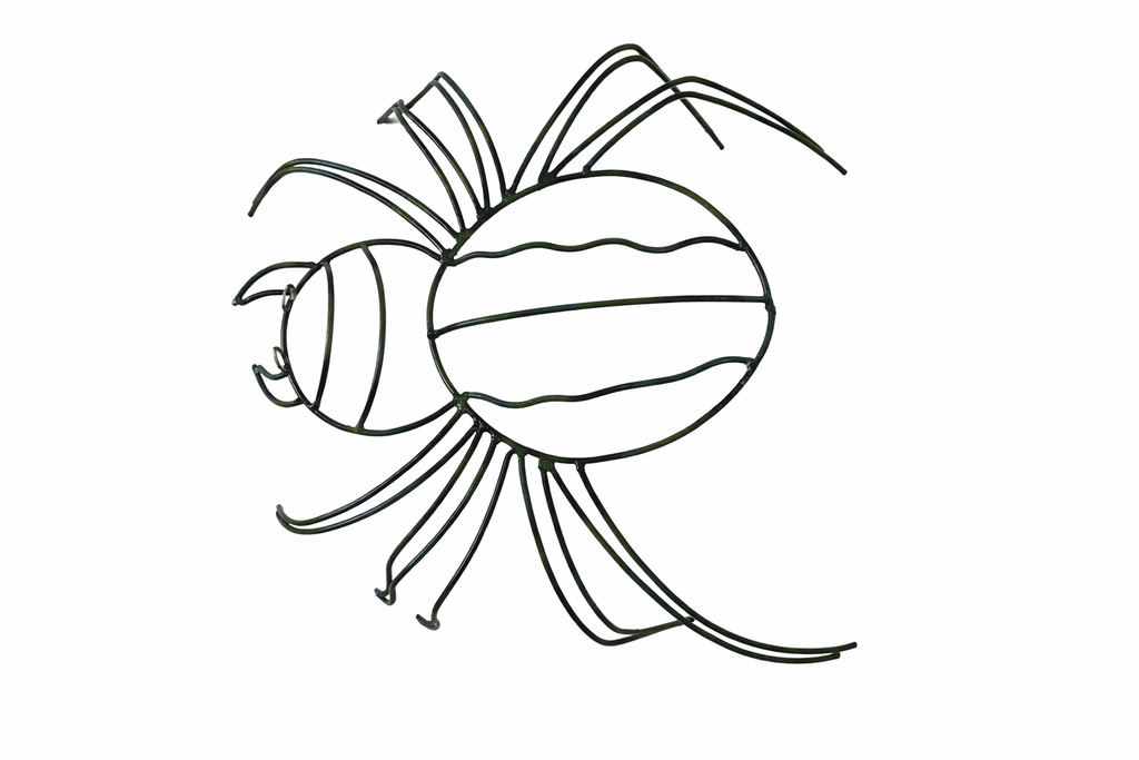 ARAÑA