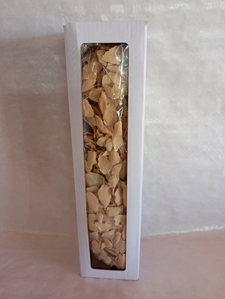 caja 18
