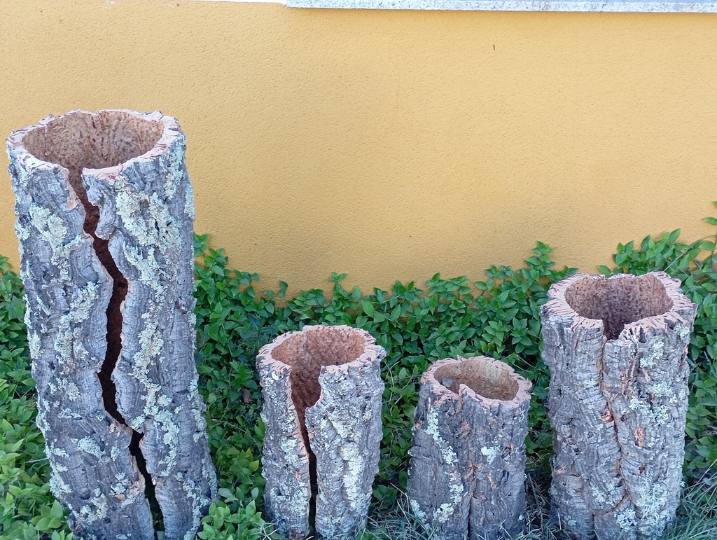 Tronco hueco de bornizo-Grande